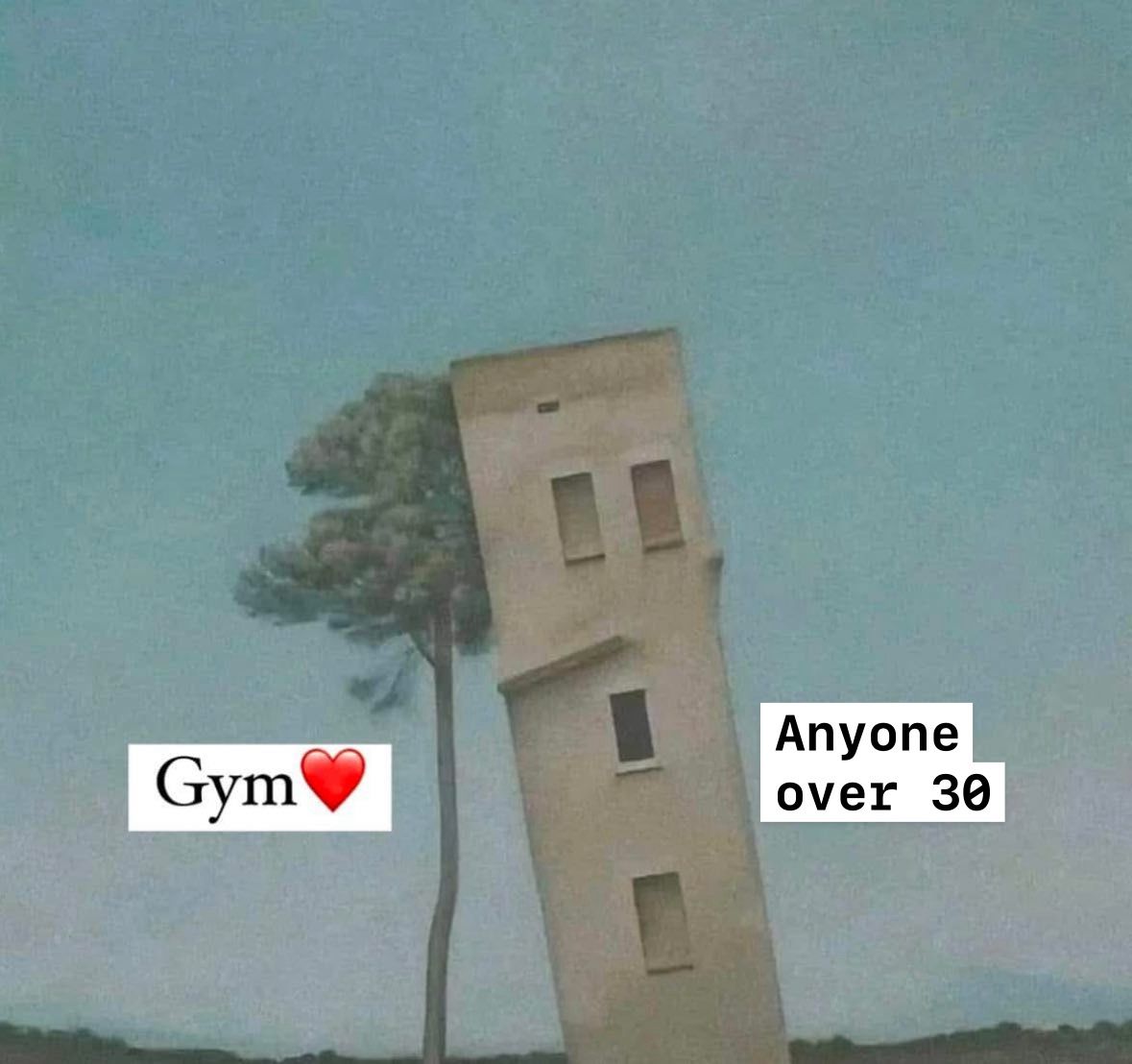 Thank you, gym